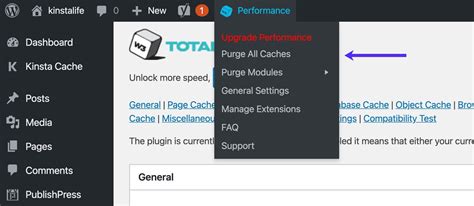 How to Purge W3 Total Cache.
